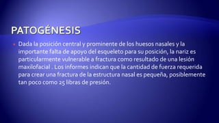  Dada la posición central y prominente de los huesos nasales y la
importante falta de apoyo del esqueleto para su posición, la nariz es
particularmente vulnerable a fractura como resultado de una lesión
maxilofacial . Los informes indican que la cantidad de fuerza requerida
para crear una fractura de la estructura nasal es pequeña, posiblemente
tan poco como 25 libras de presión.
 