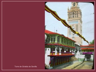 Torre de Giralda de Sevilla 