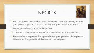 NEGROS
• Las condiciones de trabajo eran deplorable para los indios, muchos
perecieron y se justificó la llegada de eslavos negros, extraídos de África.
• Sangre contaminada por ser del linaje Cam.
• Su mácula era indeble en generaciones, eran destinados a la servidumbre.
• Encomenderos españoles los aprovecharon para ponerlos de capataces;
instrumento de explotación de la mano de obra indígena.
 