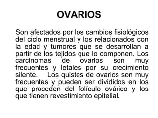 OVARIOS Son afectados por los cambios fisiológicos del ciclo menstrual y los relacionados con la edad y tumores que se desarrollan a partir de los tejidos que lo componen. Los carcinomas de ovarios son muy frecuentes y letales por su crecimiento silente.  Los quistes de ovarios son muy frecuentes y pueden ser divididos en los que proceden del folículo ovárico y los que tienen revestimiento epitelial. 