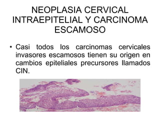 NEOPLASIA CERVICAL INTRAEPITELIAL Y CARCINOMA ESCAMOSO Casi todos los carcinomas cervicales invasores escamosos tienen su origen en cambios epiteliales precursores llamados CIN. 