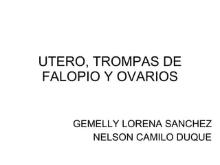 UTERO, TROMPAS DE FALOPIO Y OVARIOS GEMELLY LORENA SANCHEZ NELSON CAMILO DUQUE 