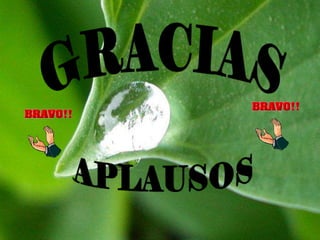 EQUIPO DE TRABAJOALUMNOS DE 5B