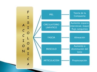 A
C
C
I
O
N
F
I
S
I
O
L
O
G
I
C
A
PIEL
Teoría de la
Compuerta
CIRCULATORIO
LINFATICO
Aumento espacio
intersticial, mayor
flujo sanguíneo
FASCIA Alineación
MUSCULO
Aumento o
disminución del
tono
ARTICULACION Propiocepción
 