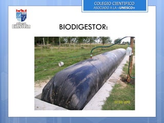 COLEGIO CIENTIFICO
        ASOCIADO A LA «UNESCO»
                       UNESCO




BIODIGESTOR:
 