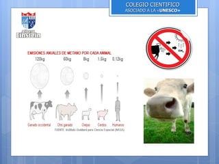 COLEGIO CIENTIFICO
ASOCIADO A LA «UNESCO»
               UNESCO
 