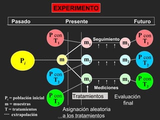 Pasado Presente Futuro
EXPERIMENTO
m1
Mediciones
Tratamientos Evaluación
final
Asignación aleatoria
a los tratamientos
Seguimiento
Pi = población inicial
m = muestras
T = tratamientos
extrapolación
P con
T2
P con
T3
P con
T1
m2
m1
m1
m2
m1
P con
T1
P con
T2
P con
T3
mPi
Luis Alzamora de los Godos Urcia Ph.D.
 