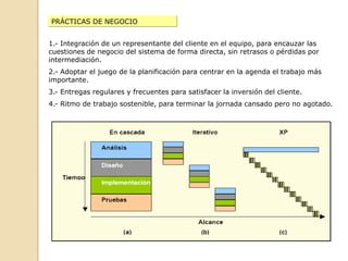 Responsable sobre la integridad del sistema (pruebas)