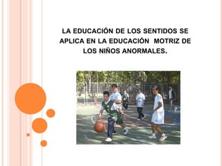 la educación de los sentidos se aplica en la educación motriz de los niños anormales.