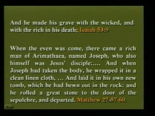 Exposing babylon series just another man