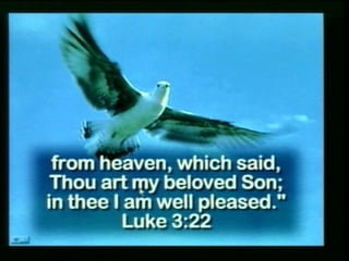 Exposing babylon series just another man