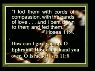 Exposing babylon series just another man