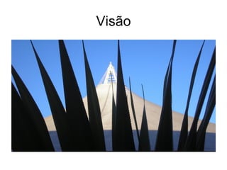 Visão 