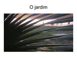 O jardim 