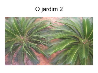 O jardim 2 