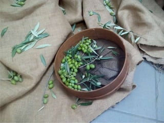 Exposição do azeite