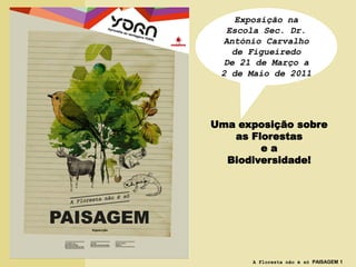 Exposição na
  Escola Sec. Dr.
 António Carvalho
   de Figueiredo
 De 21 de Março a
 2 de Maio de 2011




Uma exposição sobre
   as Florestas
        ea
  Biodiversidade!




      A Floresta não é só PAISAGEM 1
 