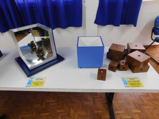 Exposição física para todos