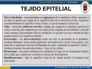 TEJIDO EPITELIAL
 