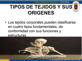 TIPOS DE TEJIDOS Y SUS
         ORIGENES
• Los tejidos corporales pueden clasificarse
  en cuatro tipos fundamentales, de
  conformidad con sus funciones y
  estructuras.
 