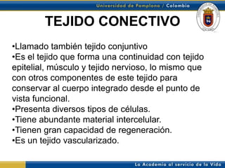 TEJIDO CONECTIVO
•Llamado también tejido conjuntivo
•Es el tejido que forma una continuidad con tejido
epitelial, músculo y tejido nervioso, lo mismo que
con otros componentes de este tejido para
conservar al cuerpo integrado desde el punto de
El tejido conectivo es de orígen mesodérmico. Conecta un tejido con otro.
vista funcional.
•Presenta diversos tipos de células.
•Tiene abundante material intercelular.
•Tienen gran capacidad de regeneración.
•Es un tejido vascularizado.
 