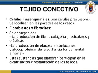 TEJIDO CONECTIVO
• Células mesenquimales: son células precursoras.
  Se localizan en las paredes de los vasos.
• Fibroblastos y fibrocitos:
• Se encargan de:
  - La producción de fibras colágenas, reticulares y
  elásticas.
• -La producción de glucosaminoglucanos
  y glucoproteínas de la sustancia fundamental
  amorfa.-
• Estas sustancias que elaboran participan en la
  cicatrización y restauración de los tejidos.
 