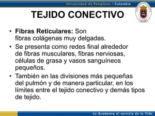 TEJIDO CONECTIVO
• Fibras Reticulares: Son
  fibras colágenas muy delgadas.
• Se presenta como redes final alrededor
  de fibras musculares, fibras nerviosas,
  células de grasa y vasos sanguíneos
  pequeños.
• También en las divisiones más pequeñas
  del pulmón y de manera particular, en los
  límites entre el tejido conectivo y demás tipos
  de tejido.
 