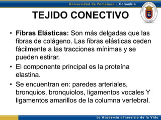 TEJIDO CONECTIVO
• Fibras Elásticas: Son más delgadas que las
  fibras de colágeno. Las fibras elásticas ceden
  fácilmente a las tracciones mínimas y se
  pueden estirar.
• El componente principal es la proteína
  elastina.
• Se encuentran en: paredes arteriales,
  bronquios, bronquiolos, ligamentos vocales Y
  ligamentos amarillos de la columna vertebral.
 