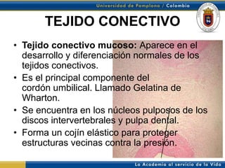 TEJIDO CONECTIVO
• Tejido conectivo mucoso: Aparece en el
  desarrollo y diferenciación normales de los
  tejidos conectivos.
• Es el principal componente del
  cordón umbilical. Llamado Gelatina de
  Wharton.
• Se encuentra en los núcleos pulposos de los
  discos intervertebrales y pulpa dental.
• Forma un cojín elástico para proteger
  estructuras vecinas contra la presión.
 