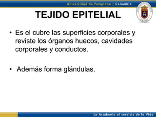 TEJIDO EPITELIAL
• Es el cubre las superficies corporales y
  reviste los órganos huecos, cavidades
  corporales y conductos.

• Además forma glándulas.
 