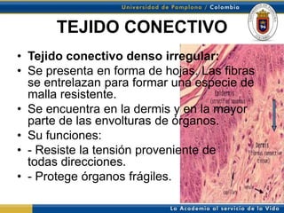TEJIDO CONECTIVO
• Tejido conectivo denso irregular:
• Se presenta en forma de hojas. Las fibras
  se entrelazan para formar una especie de
  malla resistente.
• Se encuentra en la dermis y en la mayor
  parte de las envolturas de órganos.
• Su funciones:
• - Resiste la tensión proveniente de
  todas direcciones.
• - Protege órganos frágiles.
 