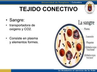 TEJIDO CONECTIVO
• Sangre:
• transportadora de
  oxigeno y CO2.

• Consiste en plasma
  y elementos formes.
 