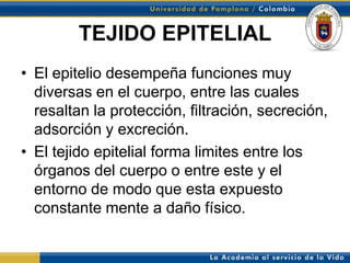TEJIDO EPITELIAL
• El epitelio desempeña funciones muy
  diversas en el cuerpo, entre las cuales
  resaltan la protección, filtración, secreción,
  adsorción y excreción.
• El tejido epitelial forma limites entre los
  órganos del cuerpo o entre este y el
  entorno de modo que esta expuesto
  constante mente a daño físico.
 