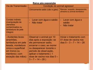 Raiva pós exposição
Via de Transmissão                Condição do animal agressor
                      Clinicamente sadio (cão e gato)   Raivoso, suspeito, desaparecido,
                                                        silvestre ou animal doméstico



Contato indireto      - Lavar com água e sabão          - Lavar com água e
(manipulação de       - Não tratar                        sabão
utensílios                                              - Não tratar
contaminados ou
lambedura de pele
íntegra)

- Acidentes leves:    Observar o animal por 10          Iniciar o tratamento com
arranhões,            dias após a exposição: se         01 dose de vacina nos
lambedura em pele     ele permanecer sadio,             dias 0 – 3 – 7 – 14 – 28
lesada, mordedura     encerrar o caso; se morrer
única e superficial   ou desaparecer durante o
em tronco ou          período de observação,
membros ( com         aplicar o tratamento ( 1
exceção das mãos)     dose de vacina nos dias 0 –
                      3 – 7 – 14 – 28 )
 