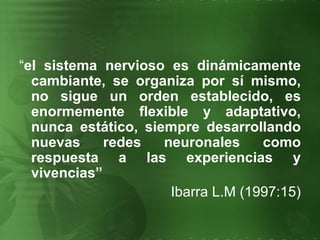 “ el sistema nervioso es dinámicamente cambiante, se organiza por sí mismo, no sigue un orden establecido, es enormemente flexible y adaptativo, nunca estático, siempre desarrollando nuevas redes neuronales como respuesta a las experiencias y vivencias”   Ibarra L.M (1997:15) 