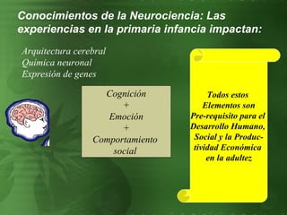 Cognición + Emoción + Comportamiento  social  Conocimientos de la Neurociencia: Las experiencias en la primaria infancia impactan: Todos estos  Elementos son Pre-requisito para el  Desarrollo Humano,  Social y la Produc- tividad Económica  en la adultez Arquitectura cerebral Química neuronal Expresión de genes 