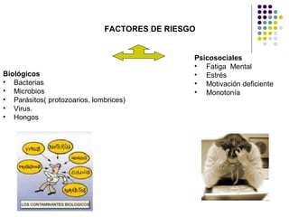 FACTORES DE RIESGO
Biológicos
• Bacterias
• Microbios
• Parásitos( protozoarios, lombrices)
• Virus.
• Hongos
Psicosociales
• Fatiga Mental
• Estrés
• Motivación deficiente
• Monotonía
 