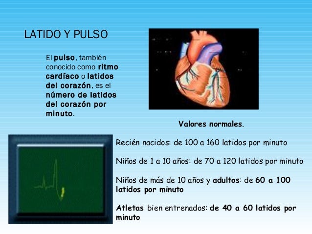 pulso normal del corazon por minuto