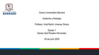 Centro Universitario Barnard
Anatomia y fisiologia
Profesor: Uriel Martín Jimenez Gracia
Equipo 1
Dianey Itzel Rosales Hernandez
20 de junio 2020
 