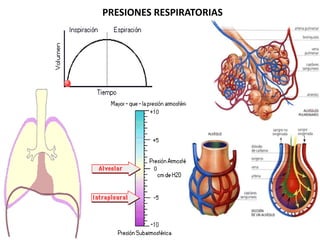 PRESIONES RESPIRATORIAS
 