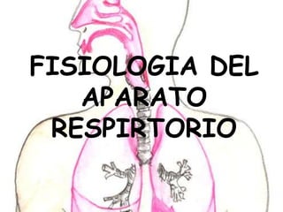 FISIOLOGIA DEL
   APARATO
 RESPIRTORIO
 