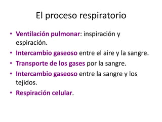 El proceso respiratorio
• Ventilación pulmonar: inspiración y
  espiración.
• Intercambio gaseoso entre el aire y la sangre.
• Transporte de los gases por la sangre.
• Intercambio gaseoso entre la sangre y los
  tejidos.
• Respiración celular.
 