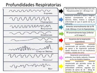 Profundidades Respiratorias
                              Respiración Normal tranquila con una
                               frecuencia entre 12 – 20 resp x’ en
                                            adultos
                              Respiración profunda y rápida o fatigosa.
                              Aparece normalmente o con el
                              ejercicio, fiebre, histeria o cualquier
                              enfermedad en que el aporte de O2 es
                              deficiente.
                               Amento anormalmente de la FR
                              (+de 20resp x’) en la hiperpirexia
                               FR anormalmente baja (inferior
                                       a 12 resp x’)
                                   Ausencia de la respiración
                                         espontánea
                              Patrón        respiratorio       anómalo
                              caracterizado por periodos alternantes
                              de apnea y de respiración profunda
                              rápida. Presente en Px con Insuficiencia
                              Cardiaca, estados de coma
                                      Respiración anormalmente
                              profunda, muy rápida, jadeante. Presente
                                     en Px con Acidosis Diabética
                              Patrón        respiratorio       anormal
                              caracterizado por periodos cortos de
                              inspiraciones     rápidas,    de     una
                              profundidad uniforme, seguidas pro
                              periodos de apnea de 10 – 30seg de
                              duración. Presente en Px Neurológicos
 