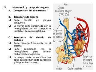 3.     Intercambio y transporte de gases
     A. Composición del aire externo

     B.   Transporte de oxigeno
         Parte    disuelto    en    plasma
          sanguíneo
         La mayor parte combinado con la
          hemoglobina en un compuesto
          inestable, la oxihemoglobina.

     C.   Transporte de dióxido de
          carbono
         Parte disuelto físicamente en el
          plasma
         Parte    combinado      con    la
          hemoglobina       para    formar
          carbaminohemoglobina
         La mayor parte se combina con
          agua para formar ácido carbónico
          y después bicarbonato.
 