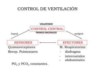CONTROL DE VENTILACIÓN


                    VOLUNTARIO

             CONTROL CENTRAL
 input          TRONCO ENCEFALICO            output


   SENSORES                          EFECTORES
Quimioreceptores                    M. Respiratorios:
Recep. Pulmonares                   - diafragma
                                    - intercostales
                                    - abdominales
  PO2 y PCO2 constantes.
 