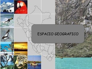 ESPACIO GEOGRAFICO 