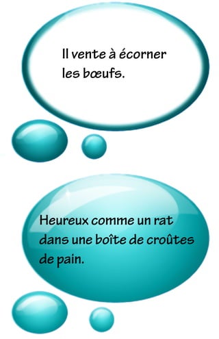 Il vente à écorner
les bœufs.
Heureux comme un rat
dans une boîte de croûtes
de pain.
 