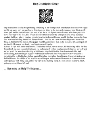 Dog Descriptive Essay
My mom comes in late at night hiding something in her front pocket. She shelters this unknown object
as if it s a secret only she can know. She stares my father in the eyes and expresses how this is a gift
from god, and he certainly can t get mad at her for it. He sighs with the look of what have you done
now, plastered on his face. She reveals the secret to her family by taking her arms away from the
pocket. Suddenly a furry creature pops its head out to look at his new world. She laid him on the floor
and he started sniffing around his forever home. Little did we know that this dog would be the best
thing to happen to this family. This puppy would become more than just a friend, he d become part of
the family. He taught our family true happiness and loyalty.
Russell is a pit bull, boxer and lab mix. So in other words, he was a mutt. He had milky white fur that
looked soft but was coarse to the touch. He had orangish yellow patches sprawled across his body and
on his head. For a medium size dog he did have a large build to him that almost made him look
intimidating, but at the right angle he had the softest features and everyone knew how much of a
sweetheart he is. On his face he had a dark black line protruding from his eye. His sweet spots were
behind his ear, the middle of his head between his eyes, and of course his stomach. His mannerisms
corresponded with being lazy, unless we were at the hunting camp. He was always roamer at heart,
going up to neighbors left and
... Get more on HelpWriting.net ...
 
