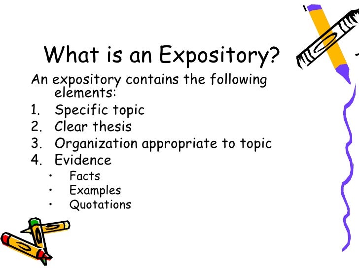What is an expository essay