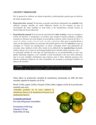 CULTIVO Y PRODUCCION 
Por lo general se cultivan en climas tropicales y subtropicales, puesto que no toleran 
las bajas temperaturas. 
 Reproducción sexual: El naranjo se puede reproducir plantando una semilla. Este 
método, aunque sencillo, no suele utilizarse mucho en los campos, ya que el 
crecimiento de estas semillas es muy lento, y las mandarinas, cuando crecen, se 
desarrollan de forma diferente 
 Reproducción asexual: Es la forma de reproducción más común, y esta se consigue a 
través de injertos o sarmientos. La técnica, que requiere mucho cuidado y rapidez, 
consiste en efectuar un corte limpio en una planta y colocar sobre él parte de otra. La 
unión de ambos cortes crecerá como un solo organismo Para que se pueda llevar a 
cabo, las dos plantas deben ser al menos del mismo género Con los injertos lo que se 
consigue es “clonar las mandarinas”, es decir, conseguir tener una plantación de 
naranjos muy similares entre ellos, tanto en la calidad de las mandarinas (tamaño, 
acidez, azúcar, etc.) como en la homogeneidad de los árboles (altura, grosor, etc.) 
La principal ventaja de este tipo de reproducción es su productividad, ya que una 
planta injertada empieza a ser rentable a nivel económico a los tres años, mientras 
que si es por semillas, tendríamos que esperar unos 5 años. Además, gracias a los 
injertos podemos disponer de más variedades de naranjas y prolongar también su 
épocas de cosecha 
La cosecha se efectúa en los meses que comprenden desde marzo hasta agosto, siendo 
ésta la mejor época de rendimiento y calidad para el consumo en fresco 
China lidera la producción mundial de mandarinas, alcanzando un 48% del total 
mundial, seguida de España, con 8,1%; 
Brasil (3,9%), Japón (3,6%), Turquía (3,4%), Italia y Egipto (3,3% de la producción 
mundial cada uno). 
Colombia produce en la zona cafetera la 
mandarina Onecco y la mandarina Arrayana en el 
piedemonte llanero. 
Contenido nutricional 
Por cada 100 gramos comestibles 
Provitamina A 106 mcg 
Vitamina C 35 mg 
Ácido fólico 21 mcg 
 